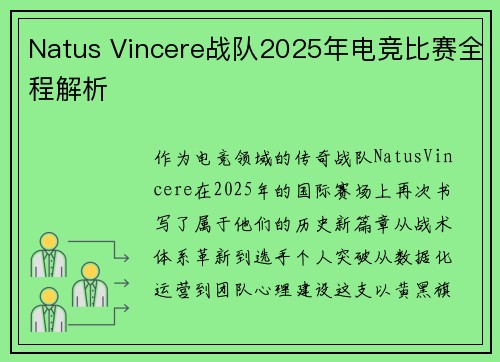 Natus Vincere战队2025年电竞比赛全程解析