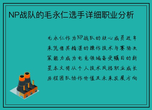 NP战队的毛永仁选手详细职业分析