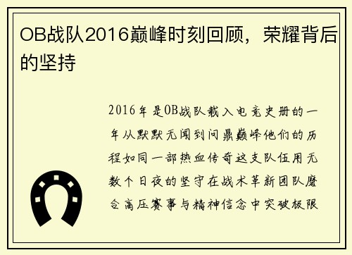 OB战队2016巅峰时刻回顾，荣耀背后的坚持